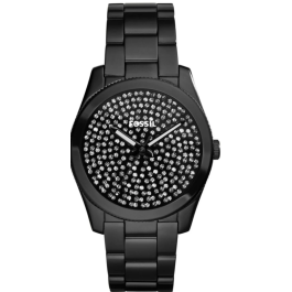 Uhrenarmband Fossil ES3645 Rostfreier Stahl Schwarz 20mm